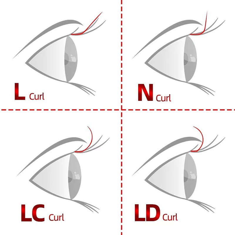 curl L curl L